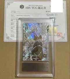 ARS10 9ポケットバインダーセット 40th ベジット