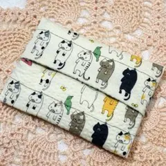 Item thumbnail for item c75651aa-03f4-4de0-ab48-3e28aaff3032