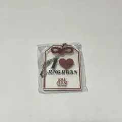 【新品未開封】TREASURE ジョンファン アクキー カプセルトイ POPUP