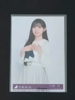 み*ん様 川崎桜 生写真 My respect アルバム 封入 乃木坂46 - メルカリ