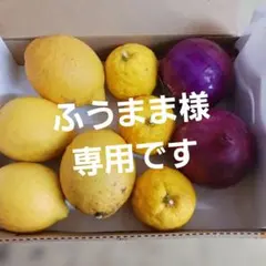 ふうまま様専用です。 新鮮なレモンとゆず、赤玉ねぎセット