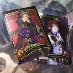 ツイステ メタルカード2 リドル、ジャミル