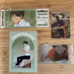 ハイキュー・東武動物公園　山口忠　2025限定