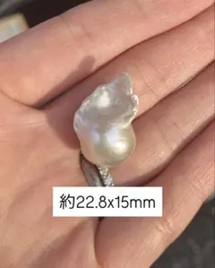 #440-9 AAAAランク✨【上下貫通穴あり】淡水バロックパール