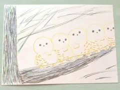 イラスト　シマエナガ