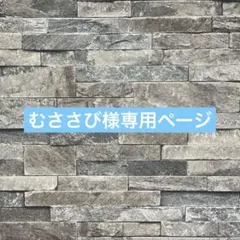 むささび様専用ページとなっております