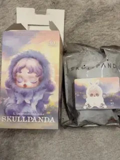 SKULLPANDA L'impressionnisme mist スカルパンダ