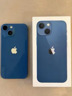 値下げ交渉OK】Apple iPhone 13 ブルー 本体 256GB - メルカリ