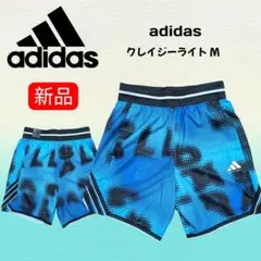 Item thumbnail for item 088ad29d-c53f-404a-b8f4-d993a22bd467