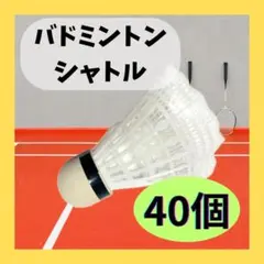 バドミントンシャトル中古 21球 - メルカリ