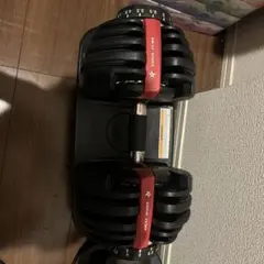 可変式ダンベル 1個ジャンクのサムネイル
