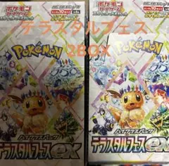 テラスタルフェス　2BOX
