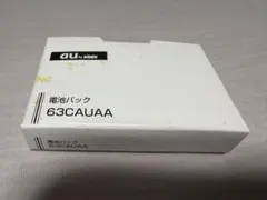 63CAUAA 배터리 팩