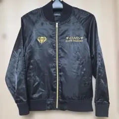 Item thumbnail for item 6ead5616-f8e7-42b4-86c8-6f77e242a6f6