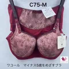 WACOAL ワコール《アルラ》メッシュでさらっとブラ　夏ブラC75M
