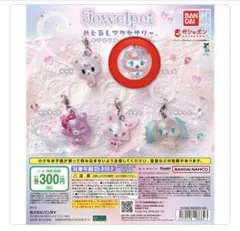 ジュエルペットめじるしアクセサリー　キラキラオーロラver エンジェラ2個セット
