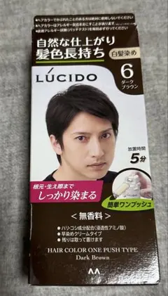 LUCIDO ヘアカラー ワンプッシュ 6 ダークブラウンのサムネイル