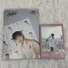 straykids スンミン ラントレ トレカ