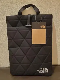 新品 THE NORTH FACE ジオフェイス　ピーシースリーブ　バッグ