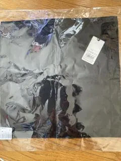 Item thumbnail for item 7c5042fd-aef9-46e4-ab7c-5d5b2a733f06