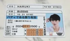 EBiDAN 推し免許証 BUDDiiS haruki ハルキ