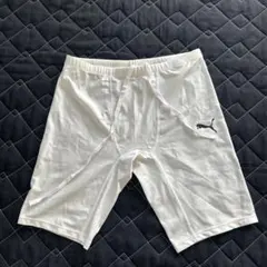 Item thumbnail for item 3eddcb0b-f1f8-46f5-8584-bf74c490395a