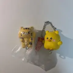 FIM'S CLUB KIMACHI HONGPPIPPI