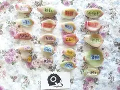 fooichi様 リクエスト 2点 まとめ商品