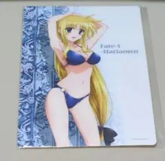 魔法少女リリカルなのは☆stikers☆なのは＆フェイト 水着Ver　下敷き