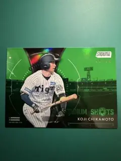 Topps STADIUM CLUB 近本光司99枚限定SS-5 阪神タイガース