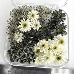 co_mi様 リクエスト 3点 まとめ商品