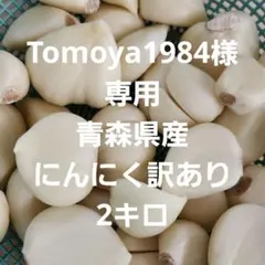 Tomoya1984様専用ページです
