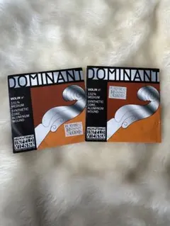 Item thumbnail for item edf7268d-65f2-4e32-a99d-ba7f59697186