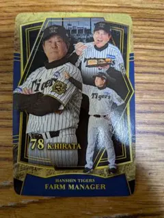 Item thumbnail for item a88f0f32-b278-4e11-b647-51c0870881e6