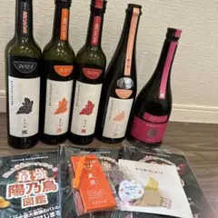 Item thumbnail for item 68cda01d-e4f6-4f66-9d26-a389a0901b17