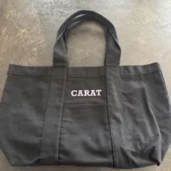 SEVENTEEN 1ST WORLD TOUR JAPAN CARAT バッグ