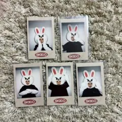 Stray Kids スキズ SKZOO ポラロイド トレカ ヒョンジン - メルカリ