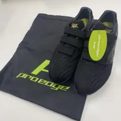 Item thumbnail for item 3a1edeba-f846-4d27-9751-a5a6feed4843