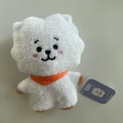 RJ LINEフレンズ　で購入　BTS