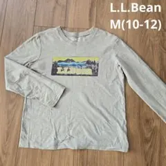 Item thumbnail for item 6a9d2206-5db4-4eb3-9456-841328d899c0