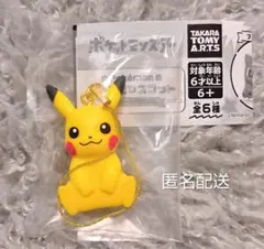 ポケットモンスター　ぺたんこマスコット　カントーSPECIAL　ピカチュウ
