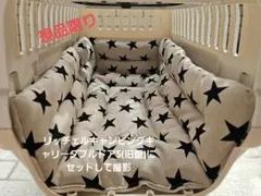 Chikuchiku & Amiami様 リクエスト 2点 まとめ商品