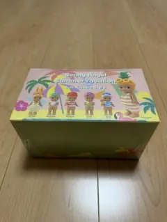 sonnyangel サマーバケーションシリーズ 1box シュリンク付き - メルカリ