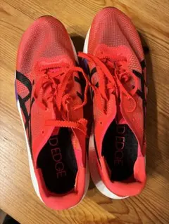 Item thumbnail for item 71a5f036-9052-4be5-8617-92b21696ebcb