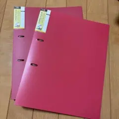 Item thumbnail for item ba3c6fc6-dc5d-46f7-9623-3eaae83fac0b