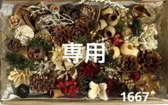 木の実小さめ詰め合わせ　2セット1667専用