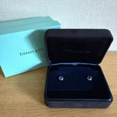 Item thumbnail for item 0873c8c7-fcdc-4a0a-a858-9841823edf29