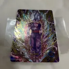 sdv11-050パラレル孫悟飯shのサムネイル