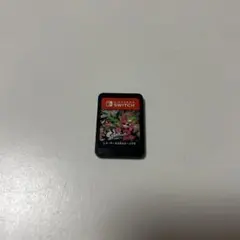 ニンテンドースイッチ カセット