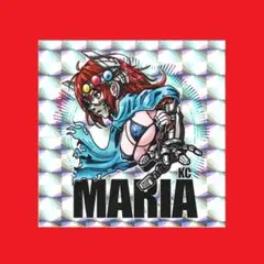 kazuuu様 リクエスト 2点 まとめ商品